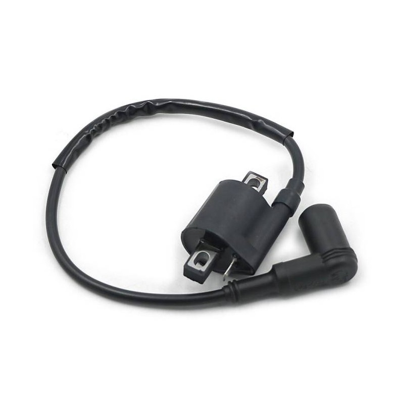 HT Coil RS125