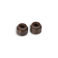 Valve Seal