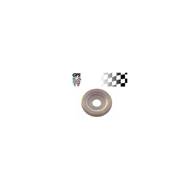 Sealing Ring