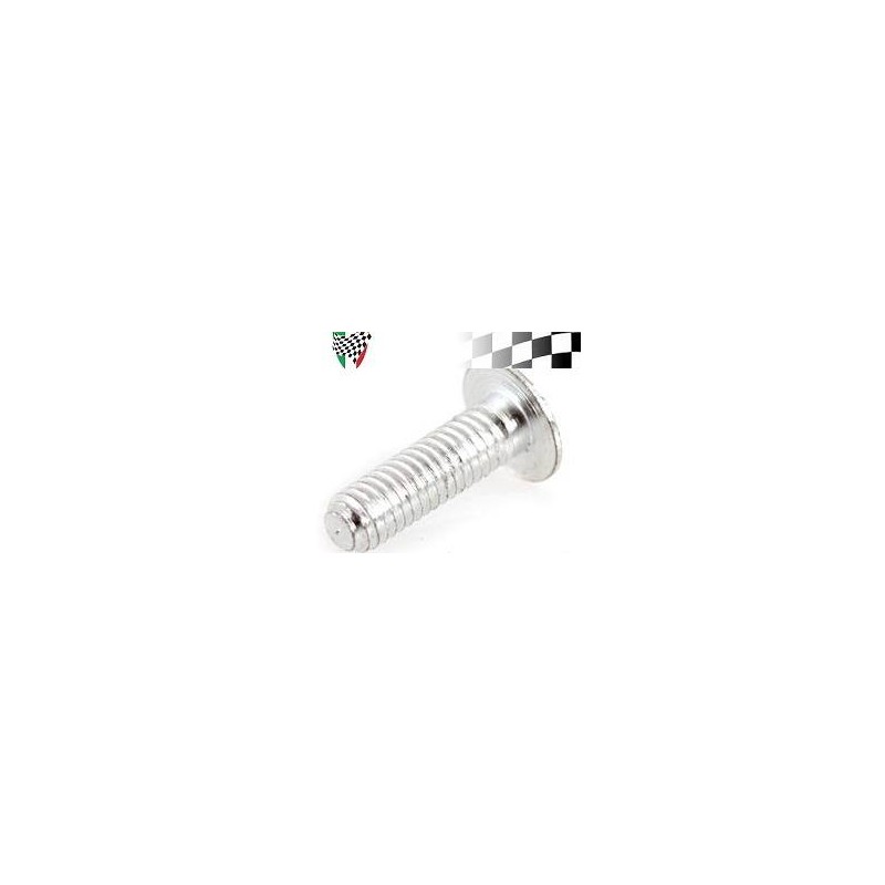 Screw for Light Switch/Horn
