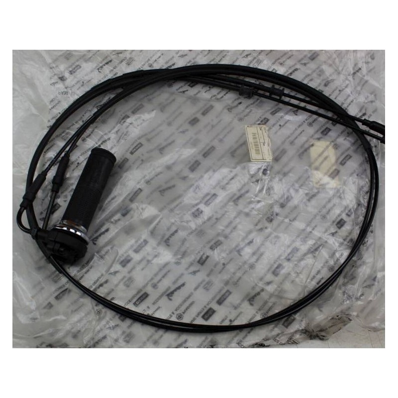 Throttle Assy LX/S ie