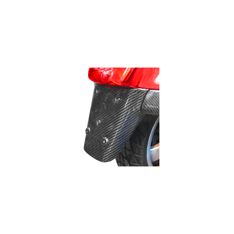Carbon Splash Guard GTS/GTV