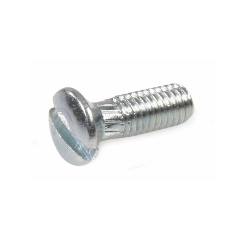 Screw