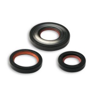Oil Seal Kit Smallframe