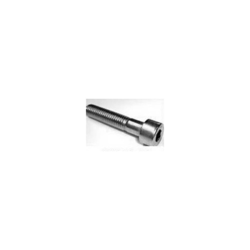 Hex Screw