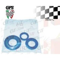Oil Seal Kit P125/150X Vespa