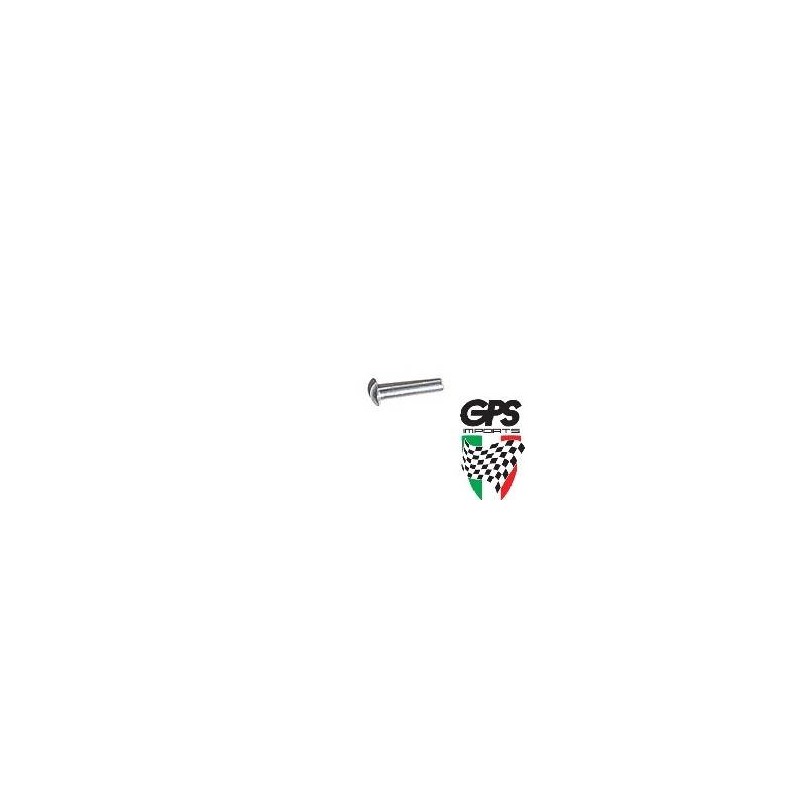 Rivet for Badge Fixing