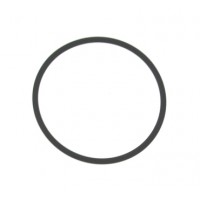O Ring Front Hub Back Plate