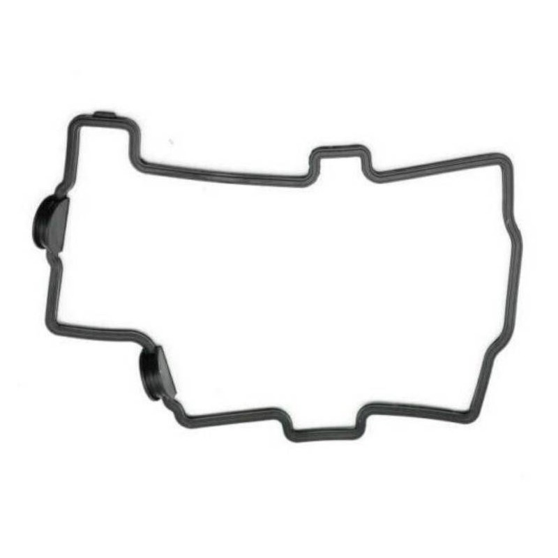 Rocker Gasket RSV4