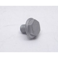 Screw with Flange M8 x 10.3 mm