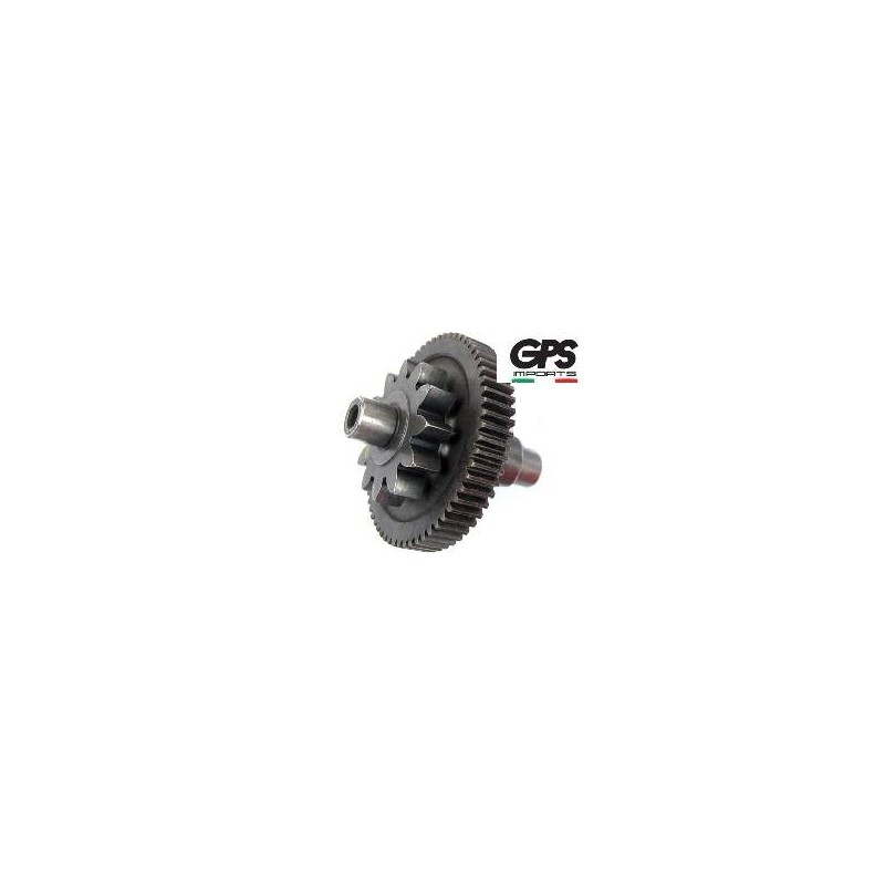 Starter Motor Gear 250/300 Qua
