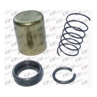 Starter Motor Pinion Overhaul