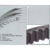 Belt Leonardo 125/150