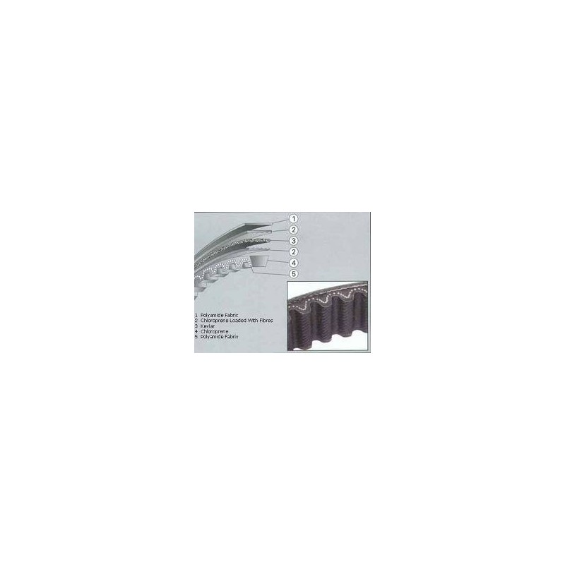 Belt Leonardo 125/150