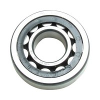 Bearing NU205E SKF
