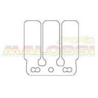 Reed Petals (3) Honda