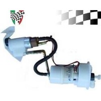 Fuel Pump GTS300