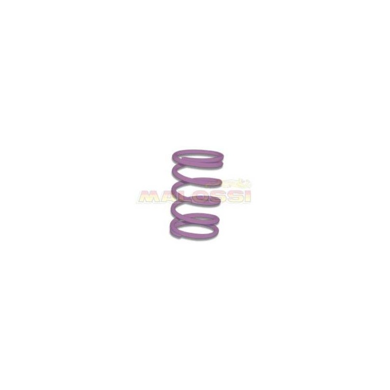 Clutch Centre Spring