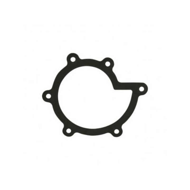 Water Pump Gasket