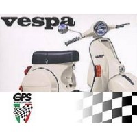 Mirror Vespa LHS Inc Plate