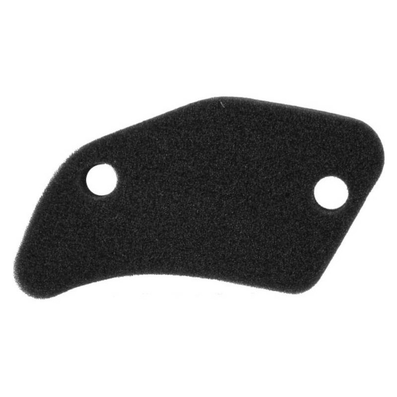 Secondary Air Filter