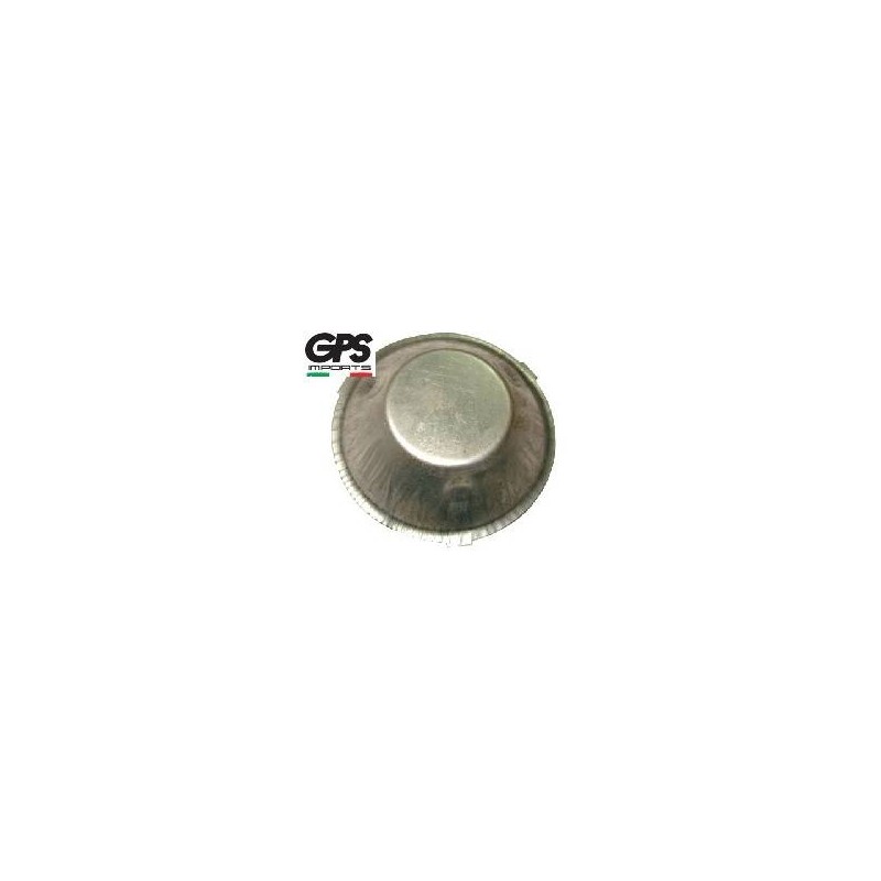 Flywheel Dust Cover GP