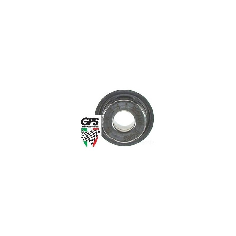 Water Pump Seal