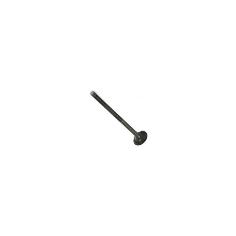 Exhaust Valve 250/300