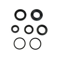 Engine Oil Seal Kit Ditech