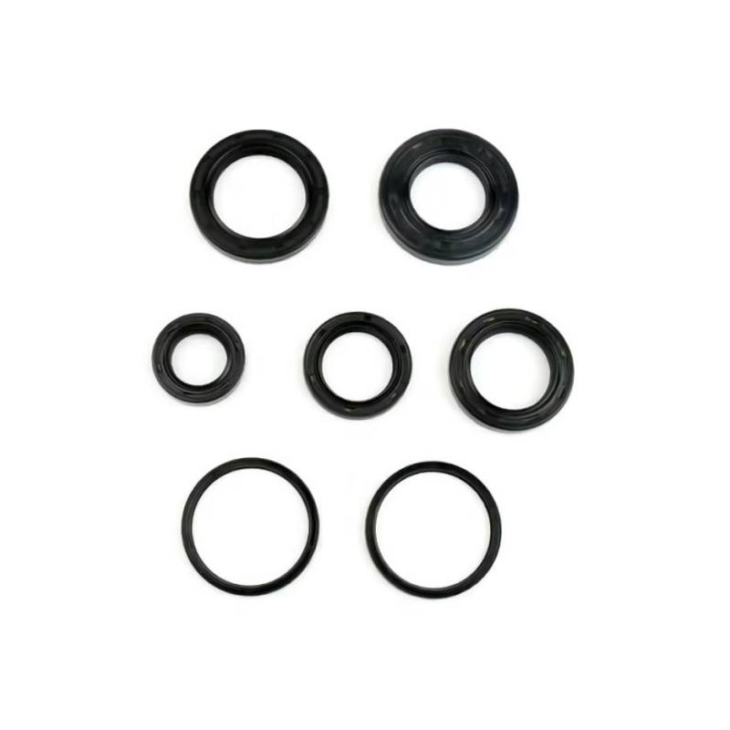 Engine Oil Seal Kit Ditech