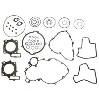 Gasket Kit RXV/SXV 450