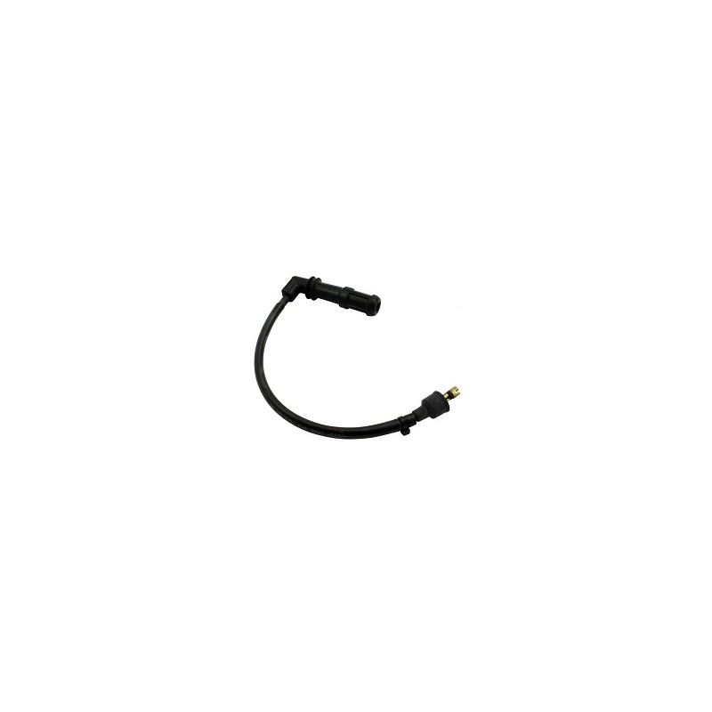 HT Cap with Lead Guzzi 1200 4V