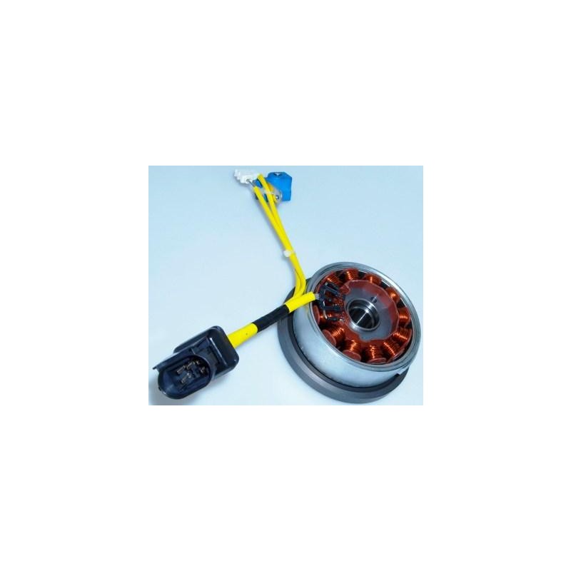 Flywheel/Stator Assy 180/200 4