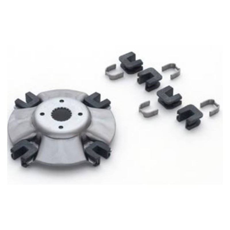 Variator Backplate Maj 250