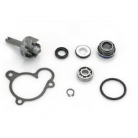 Water Pump Kit Maj 250