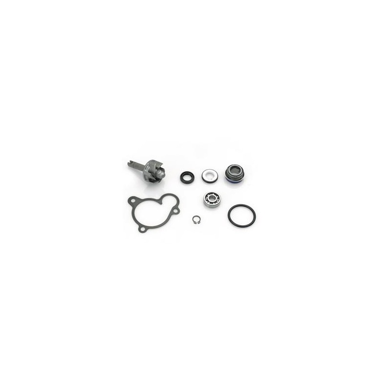 Water Pump Kit Maj 250