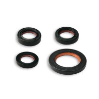 Oil Seal Kit Piaggio 50