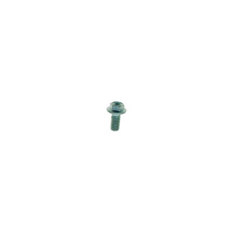 Footrest Screw M6/12mm