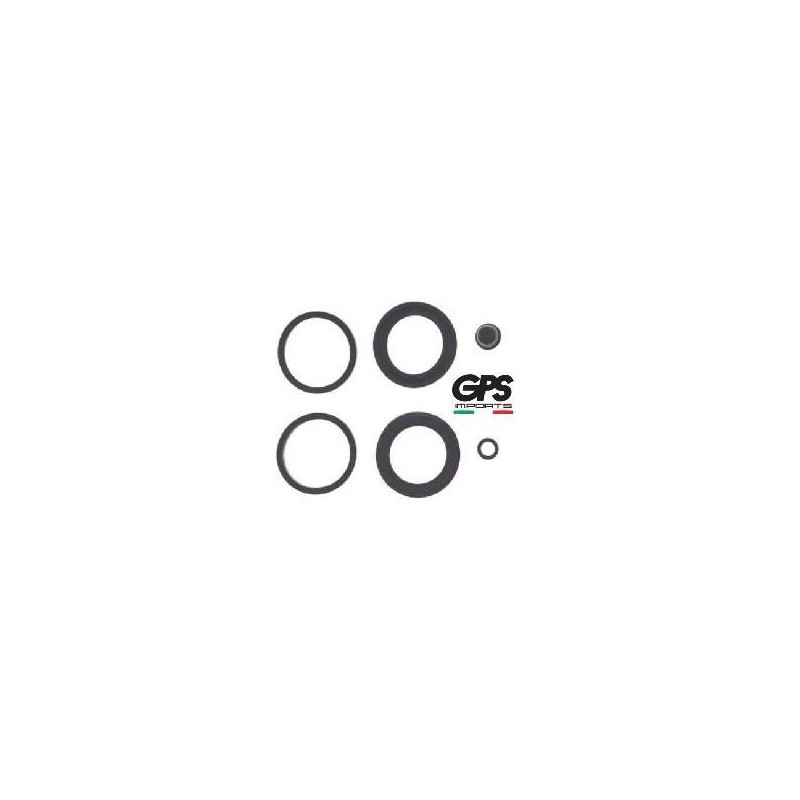 Caliper Rebuild Kit RS,SR,Leon