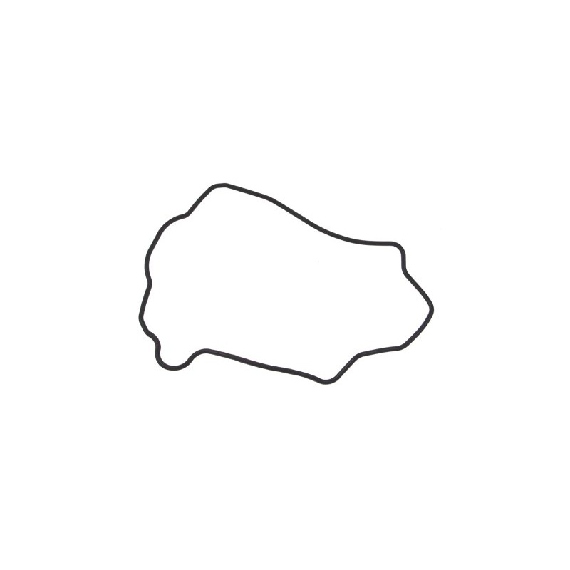 O Ring LX Rocker Cover