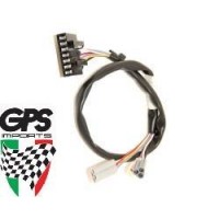 Speedo Wiring Loom