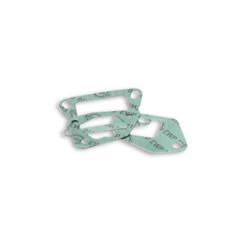 Gasket Kit Reed Valve