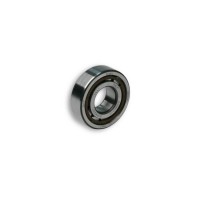 Bearing NU204E
