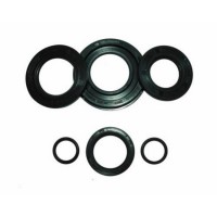 Oil Seal Kit SS180