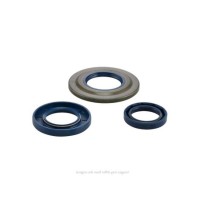Oil Seal Kit PX 84 >