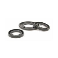 Oil Seal Kit Rally 200 Femsa