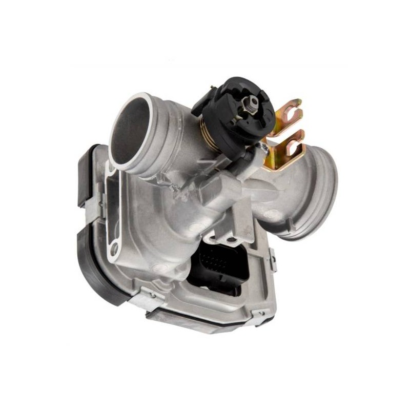 Throttle Body with ECU