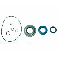 Oil Seal Kit PX