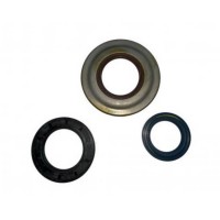 Oil Seal Kit PX