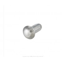 Rivet for Steering Lock